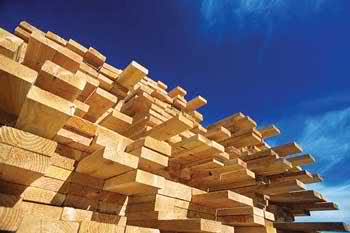 70 درصد بازار چوب ایران وارداتی است